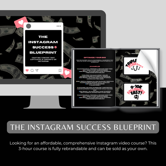 The Instagram Success Blueprint | PLR